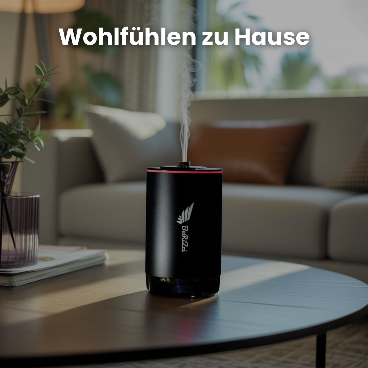 BaRiZzi Diffuser