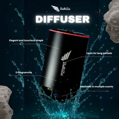 BaRiZzi Diffuser